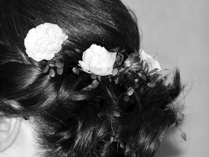 chignon-nb