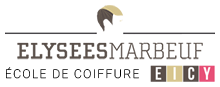 eicy-elysees-marbeuf-logo